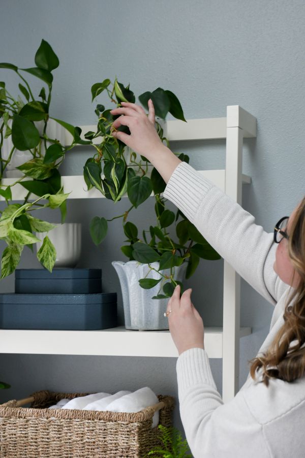 Designer arranging plants on bathroom shelving.
