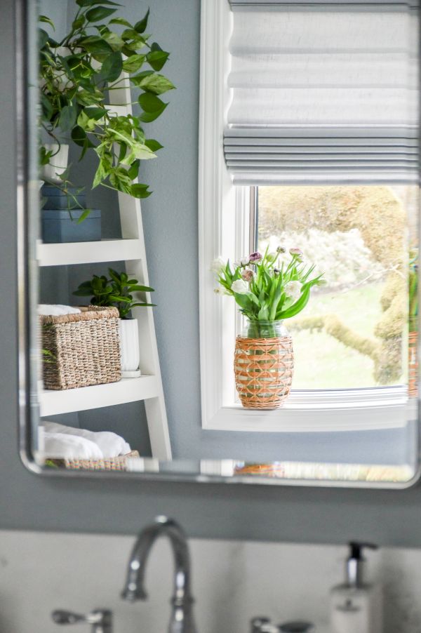 Reflection in bathroom mirror of window in background and white plant shelving.