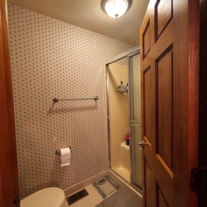 Toilet closet with small shower prior to remodel