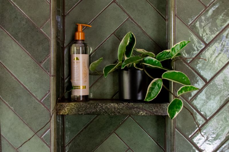 Shower niche with soaps, shampoos, and plant on shelves