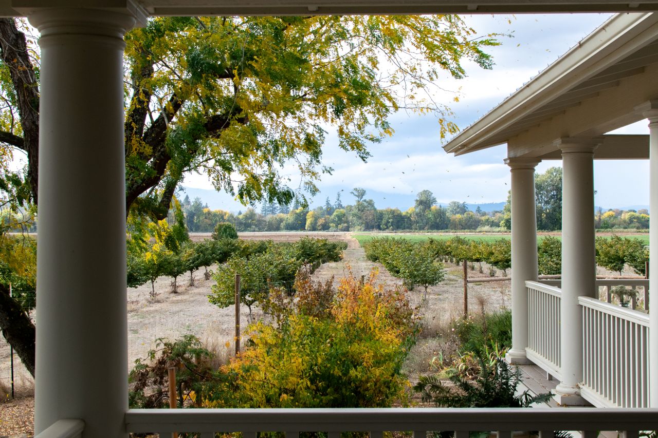 Fall view of orchard from the covered front porch of our Traditional Southern Farmhouse Addition.